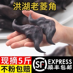 洪湖菱角新鲜生棱角粉糯老菱角农家湖北特产黑凌角蔬菜5斤包邮