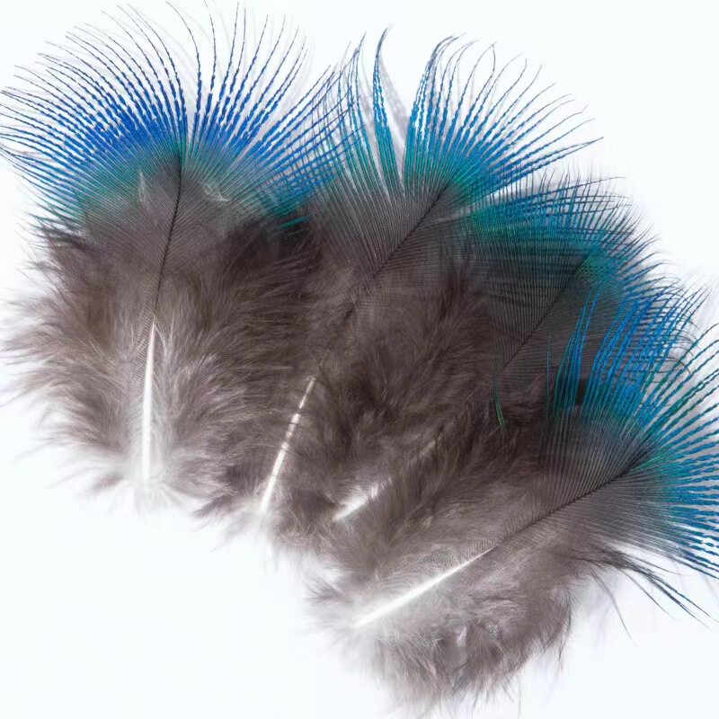 in stock Natural Peacock Feather Peacock Blue Pieces Clothing Clothing Accessories Handmade DIY Point Cui Material Factory Outlet
