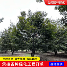 ����ֱ�N�t�Θ��� �����Θ� ��Ҏ���е���Θ��� ���������l