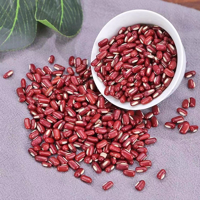Adzuki Bean Powder Chi Xiao Dou 500g Freshly Milled Herbal Powder for Drinks and Cooking specifications