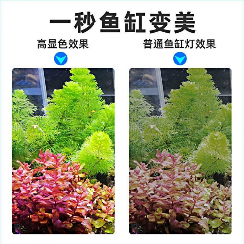 LED鱼缸灯专用爆藻灯超亮水灯鱼缸造景灯小型节能灯支架灯夹灯厂|undefined