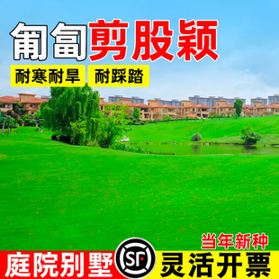 ���ɷf���Ѳ��޼���ƺ��Ƥ�N���ļ����ఫ���ͺ��ͺ��G���ݷN��