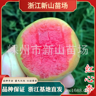 �t������ ��Ʒ�N�Ї�ܽ�����������A��t��Ѫ��̾G�t�����Ә���