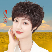 �ٰlŮ�̰l�̾��lȫ�^����lȫ�湫��ȫ�ߙn�����ꋌ����ٰl��