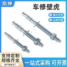 国标镀锌车修壁虎膨胀螺栓不锈钢车修壁虎螺栓M6/M8/M10/M12