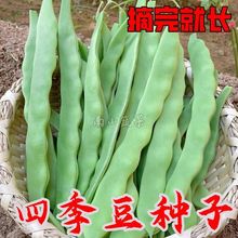 ߮atļNӰܿϷļNӴĸN˷N