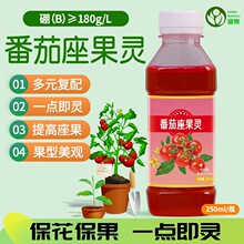 涵物番茄授粉座果灵点花坐果灵保花保果防落花