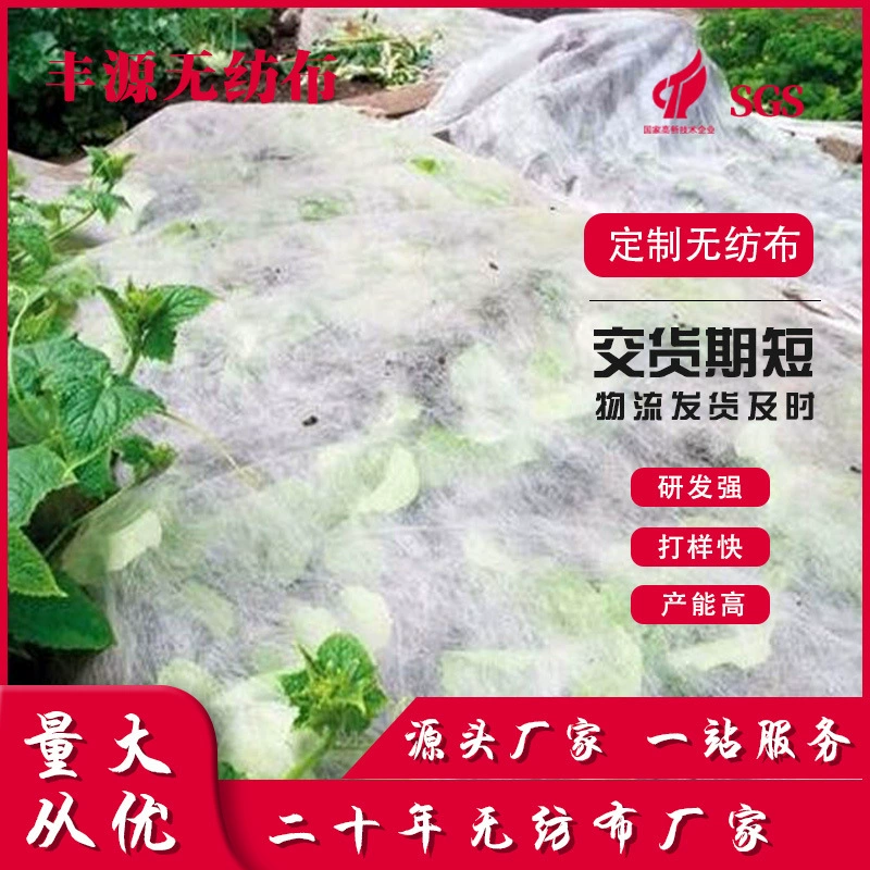 Производитель оптом геотекстиль ландшафтный дизайн геотекстиль производитель строительство обслуживание дорог нетканый материал изоляционная фильтрация