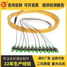工厂销售电信级12芯束状尾纤1.2米通信级一体化托盘圆头12芯单模