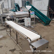 自熟粉条机不加矾 红薯粉条机直杆出粉免冷冻 地瓜宽粉条生产线