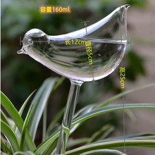 透明玻璃懒人小鸟浇花器创意装饰盆栽花卉装饰渗水自动浇花园艺