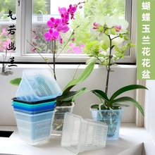 水苔蝴蝶兰专用花盆方形兰花控根盆透明透气塑料镂空水培定植篮