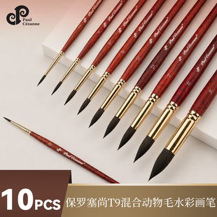 �羳ˮ�ʹPˢ����ëˮ�ʮ��PT9��ϩ���I���Pľ�|�A��½��~���Pˢ