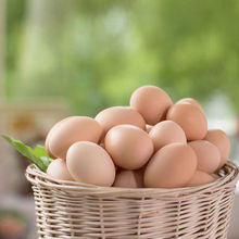 鸡蛋新鲜现捡现发农家散养初生蛋土鸡蛋草鸡蛋柴鸡蛋宝宝孕妇