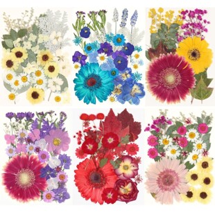 Dried Flower Embossed Material Bag Gerbera Combination Plant Specimen Holiday Gift DIY Photo Frame Postcard Bookmark