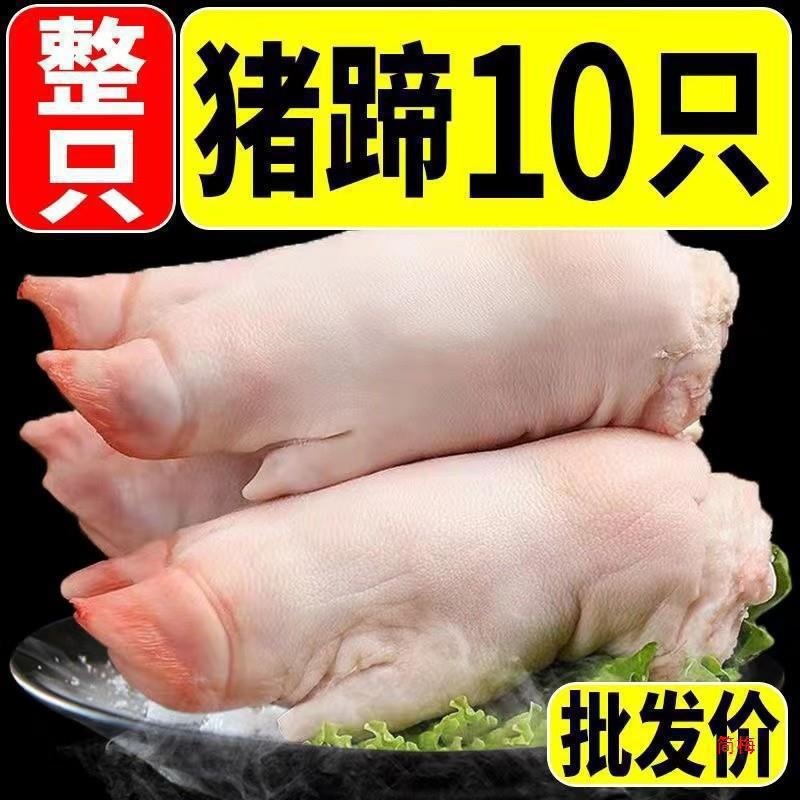10只现杀土猪蹄3到4两左右新鲜散养农家带筋猪前蹄猪脚后蹄小猪蹄