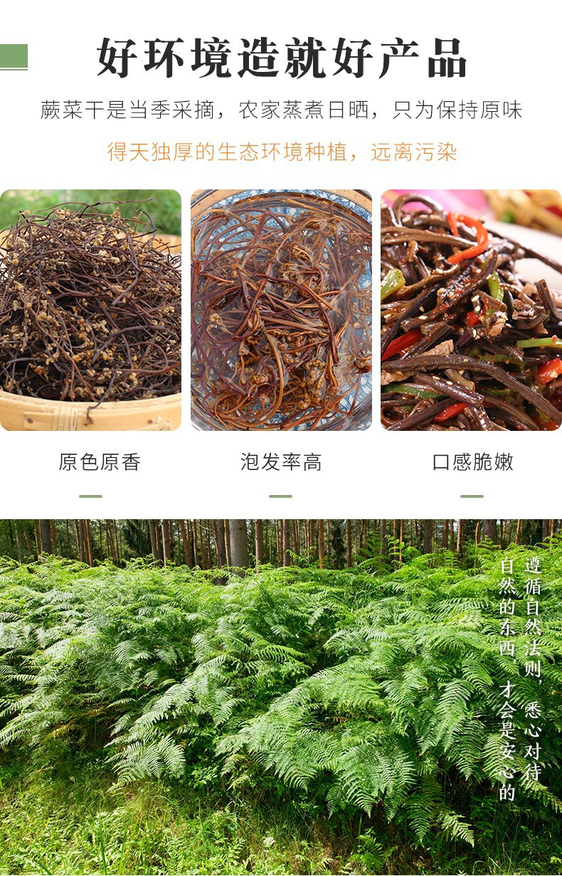 Wild Dried Fern Brakes 500g Farmhouse Shan Jue Cai Wild Vegetable from Hunan key features