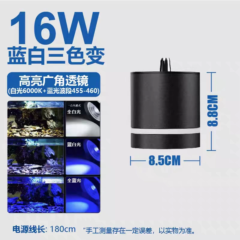 LED