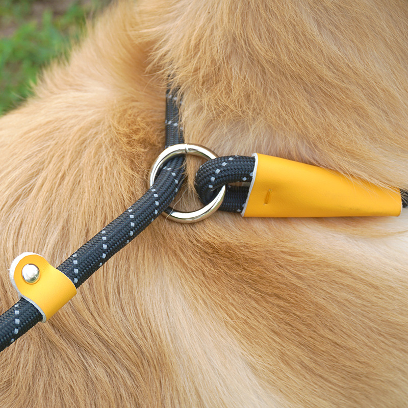 Dog rope explosion-proof P chain dog walking leash anti-breakaway dog ​​chain medium and large dog explosion-proof dog leash