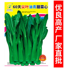 lˈ@߲˷N60~15̨ԺӲяSҹ