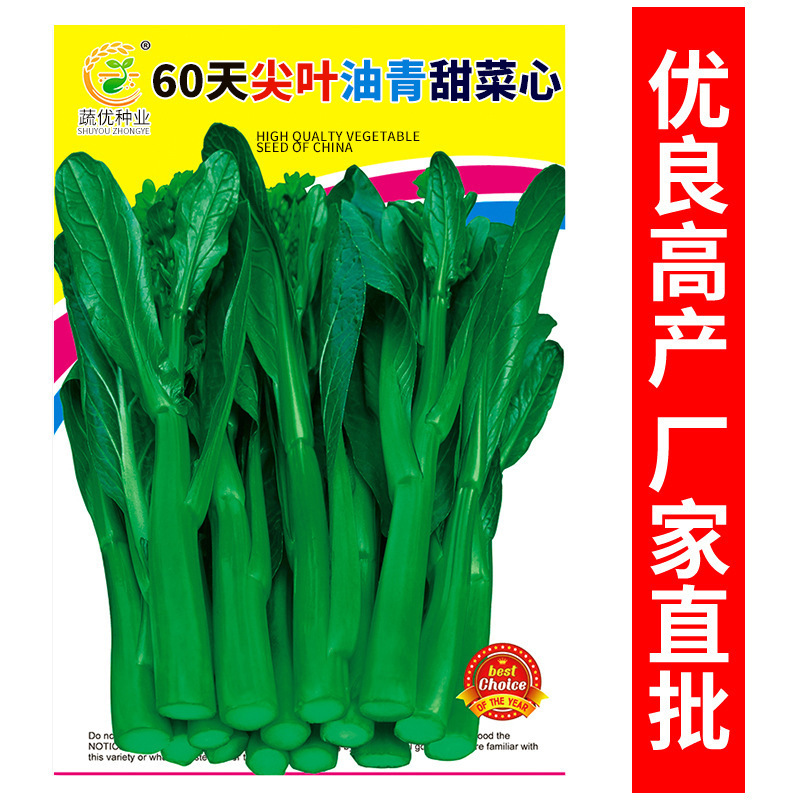 Wholesale Vegetable Garden Vegetable Seeds 60 Days Tip Leaf Oil Green Beet Heart 15g Balcony Yard Rapeseed Manufacturer Supply