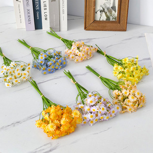 ������ʾհ����M����СҰ�ռٻ���Y�zӰ���߼Ҿ��b��ò�˹��