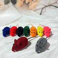 ?�S��ֱ�N���zֲ�qС����l��؈��ߌ������؈��Ʒ���l�F