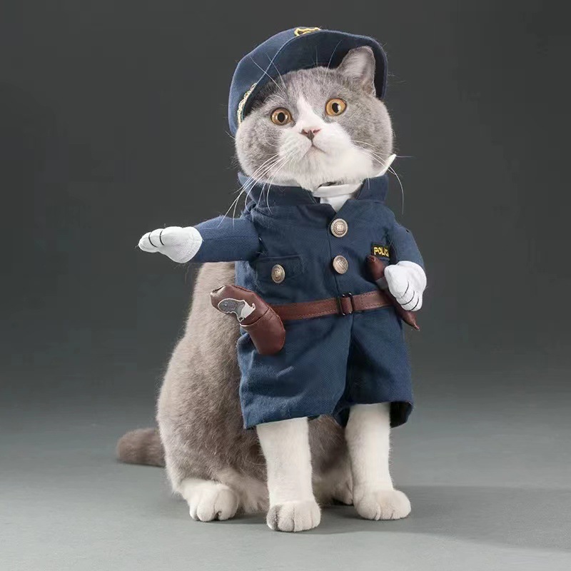 Pet Costume