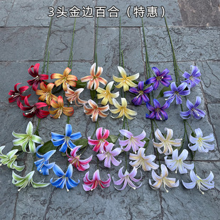 �¿����Ұ�ٺϏS�� 3�^��߅�ٺ� ��c��Y�üҾ�ܛ�b�ٻ����l