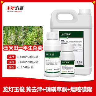 ������30%���ǲ�ͪ���׻�¡ݬȥ��������һ�����s�������݄�