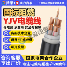 �����~оZC-YJV��|��3/4/5о6/10/16ƽ��늾�늙C�_�P�����Դ��