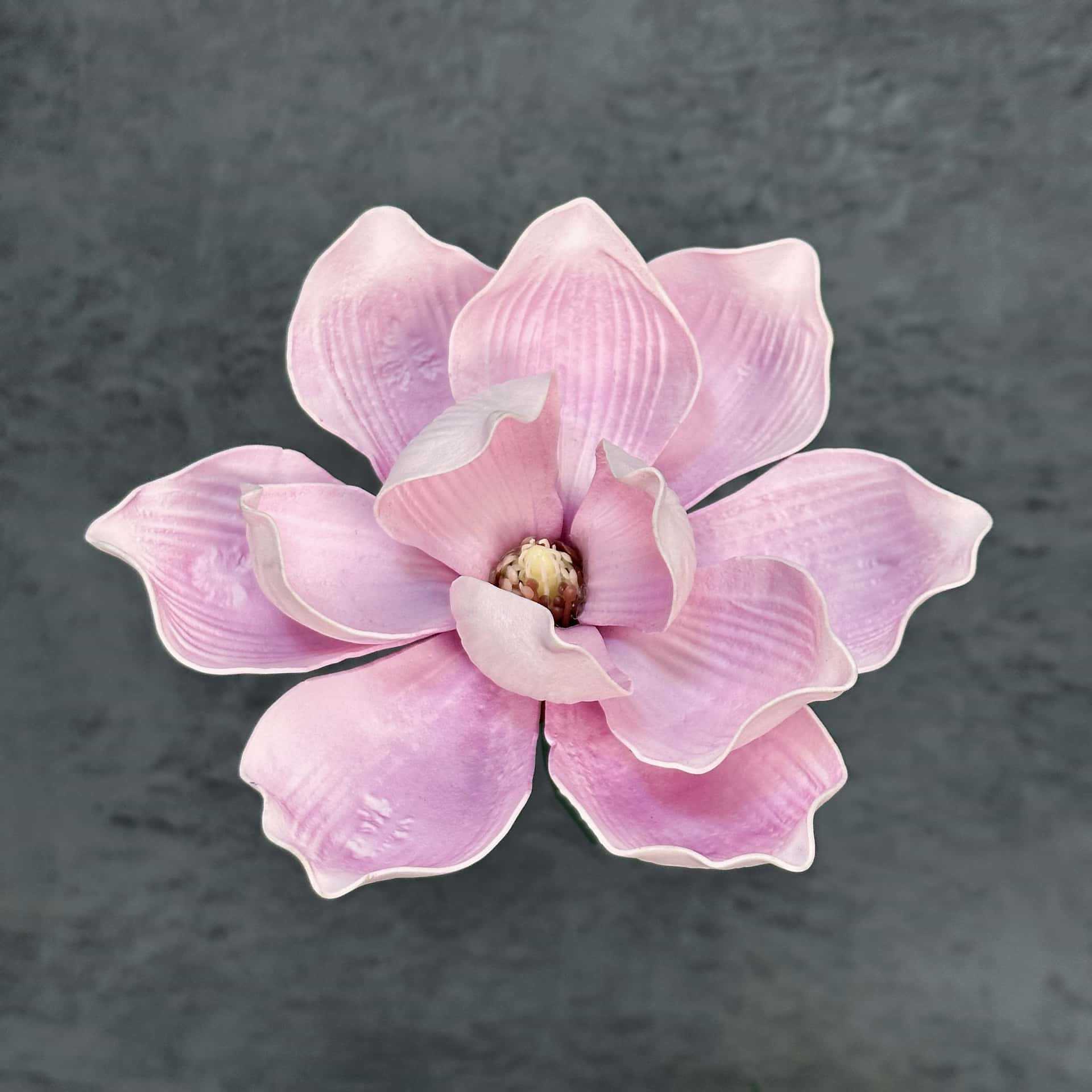 Flor de simulación transfronteriza EVA cabeza de magnolia 13cm tacto tocado kapok decoración decoración decoración flor falsa al por mayor