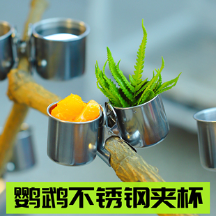 �B�ò��P䓊A������ʳ��С̫ꖻ�Ƥĵ�����Lʳ���ˮιʳ�B�\��Ʒ