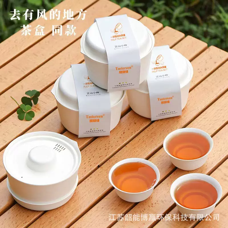 一次性茶具茶盒会便携式功夫懒人套装收纳旅行茶具泡茶杯子户外环
