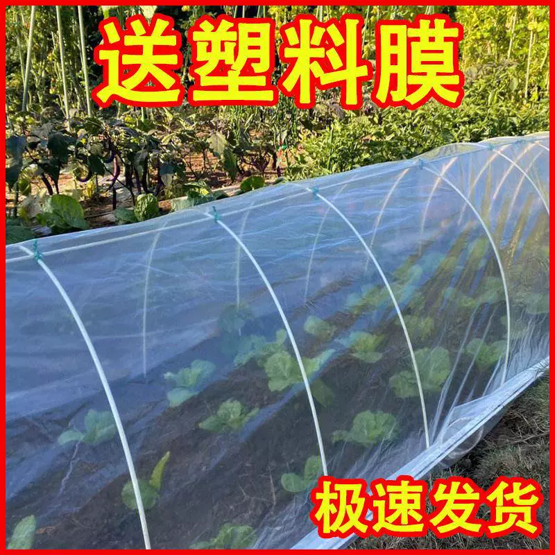 [Подарочная пластиковая пленка] Небольшой арочный сарай, сельскохозяйственная изогнутая труба, бытовые сельскохозяйственные инструменты, овощная полка, чтобы согреться