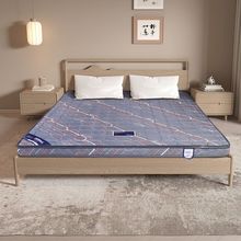 环保棕垫1.51.8米单人宿舍出租房乳胶可拆洗床垫