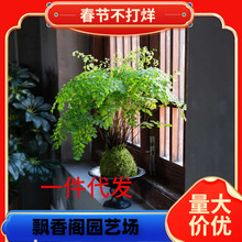 һ�����l�F��ާ����̦�\��ˮ��Gֲ�҃Ⱥ��B�͏d�����k����������