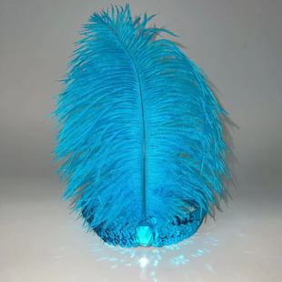 �r�Bë�^�� ӡ�ڰ��^�����ݵ����^���ë��Ƭ���԰l����̨DIY�b�