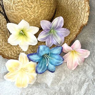 ���滨3D�ٺ���ݰٺϻ��^Ь��ñ�l�A�b�Ʒ�^�DIY�Ҿ�