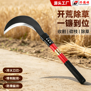 �������砵��r�ø�݌��õ����񵶑��������֦���߼��ó��ݵ�