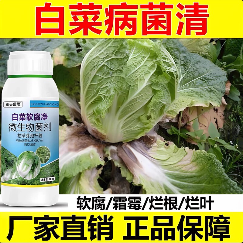 Medicine for Cabbage Diseases, Bacteria Clearing Medicine, Anti-Corrosion and Anti-Rot Medicine for Cabbage, Rotten Roots, Yellow Leaves, Soft Rot, Gray Mold Disease Medicine for Cabbage Diseases, Bacteria Clearing Medicine, Anti-Corrosion and Anti-Rot Medicine for Cabbage, Rotten Roots, Yellow Leaves, Soft Rot, Gray Mold Disease