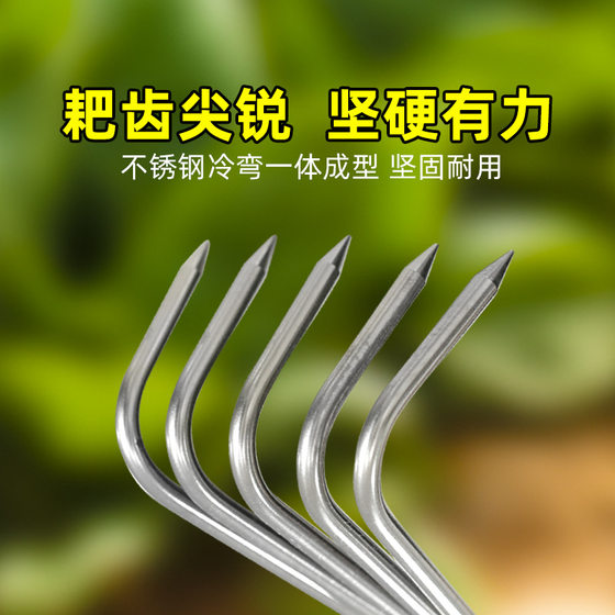 Loosen the soil small rake stainless steel rake loosen the soil artifact two-tooth small bonsai bonsai drive sea flower tools gardening