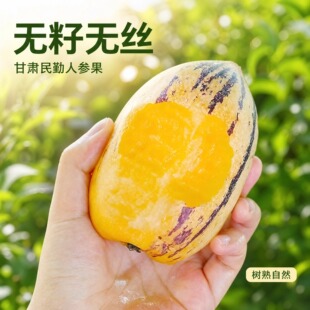���C����ɳĮ�˅������rˮ�����������S���˅��L�������������]