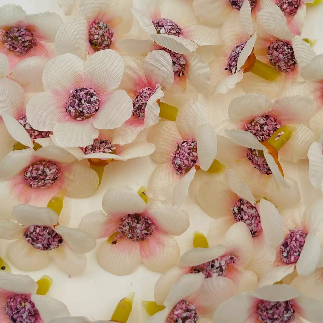 微信图片_202502271919261