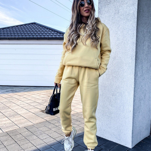 2024 Amazon ebay European and American foreign trade autumn and winter women's new sports and leisure hooded sweatshirt set two-piece set