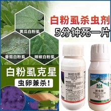 批发飞虱药20%呋虫胺10%烯啶虫胺白飞虱烟粉虱褐飞虱蚜虫杀虫剂