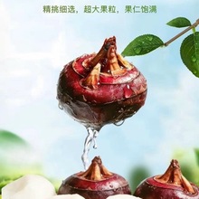 ���r�R����ϳ�Ϫ�ԷNݩ�j�����F��ˮ�������֭�����߲ˑ���ˮ��