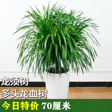 ��횘� ���^��Ѫ�� ���F���҃ȿ͏d���Ի���ֲ���k�����辰������