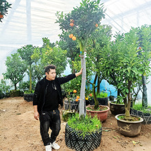 Ě�Ș���玧������ɰ���٘������ش��۳��Ә��ļ��ߗUͥԺ����