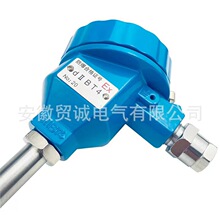 多點鎧裝熱電阻 WZPK-131D pt100傳感器K型裝配式熱電偶測溫芯